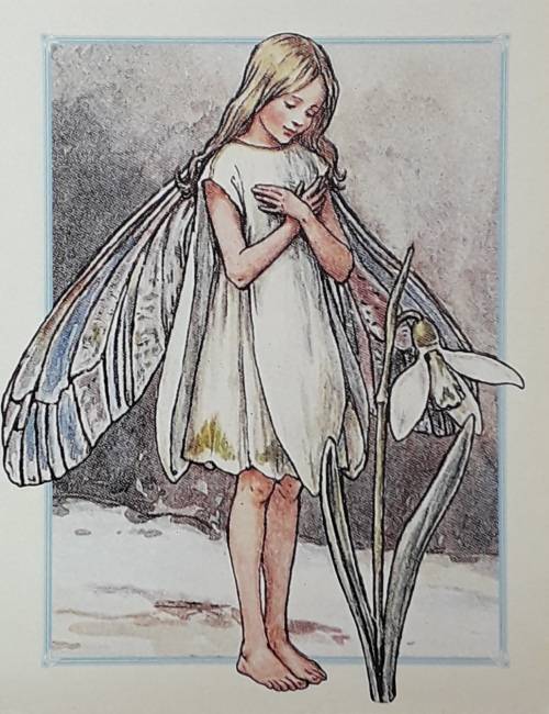Fairy Cards (+free shipping)